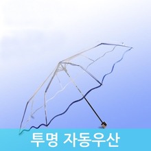 투명 자동우산